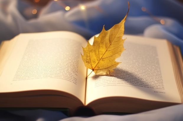 金融学专业是本科还是专科(清华大学代码及其各专业代码)