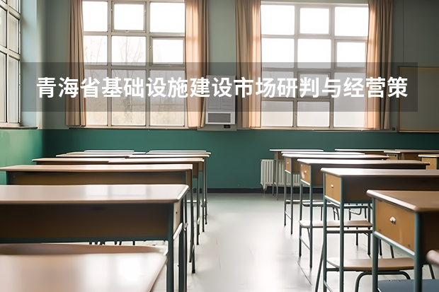 青海省基础设施建设市场研判与经营策略（2024-2025年）（青海省2025年消费品以旧换新实施细则）