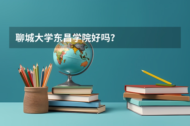 聊城大学东昌学院好吗？