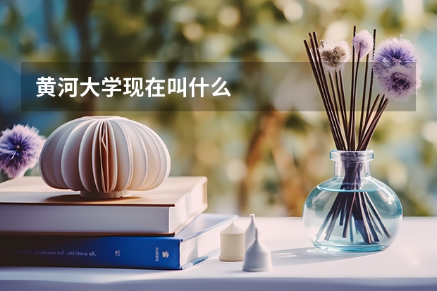 黄河大学现在叫什么