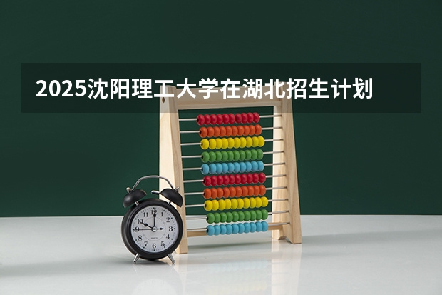 2025沈阳理工大学在湖北招生计划一览表