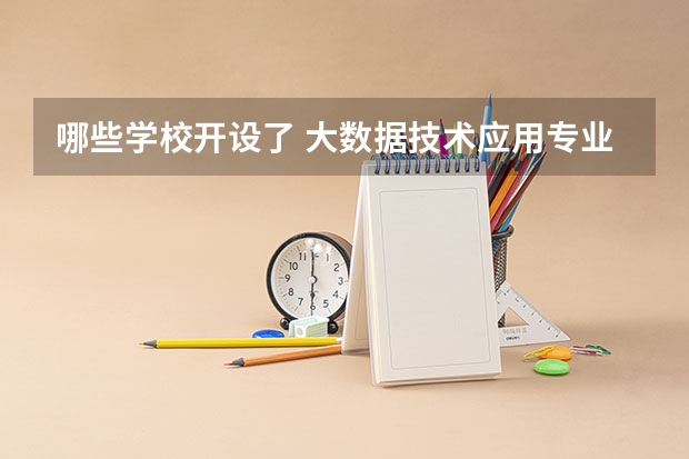 哪些学校开设了 大数据技术应用专业