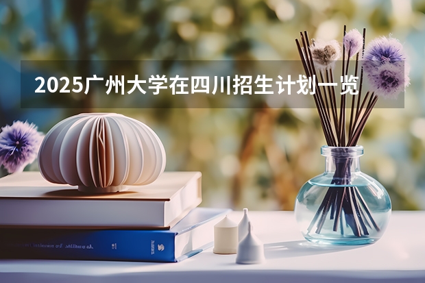 2025广州大学在四川招生计划一览表