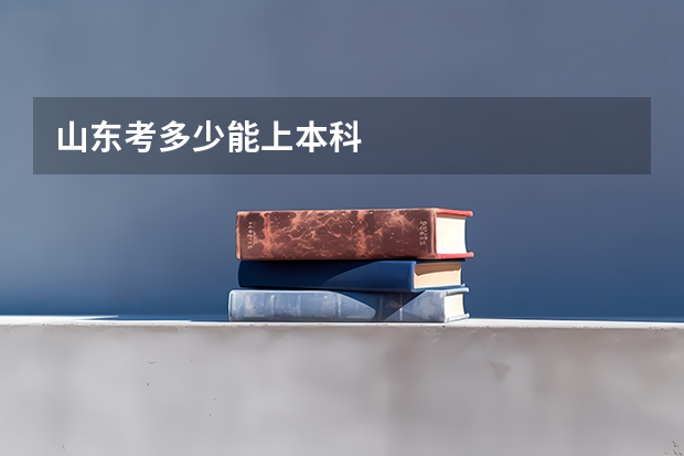 山东考多少能上本科