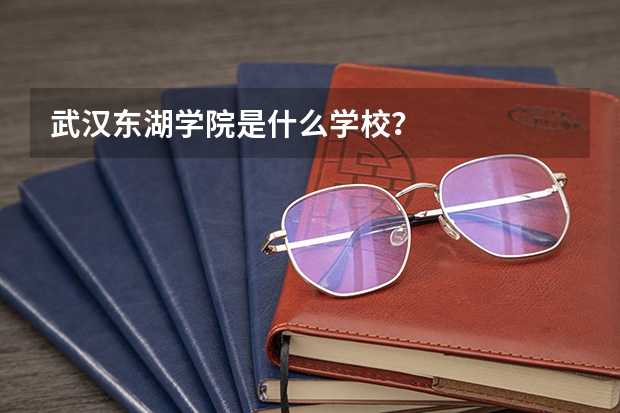 武汉东湖学院是什么学校？