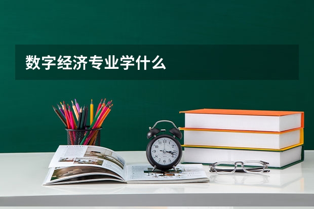 数字经济专业学什么