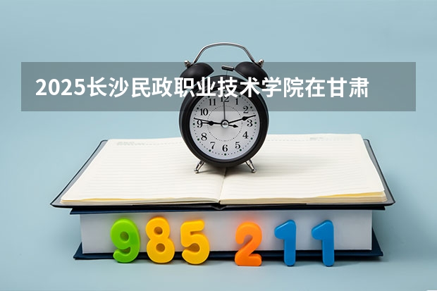 2025长沙民政职业技术学院在甘肃招生计划一览表