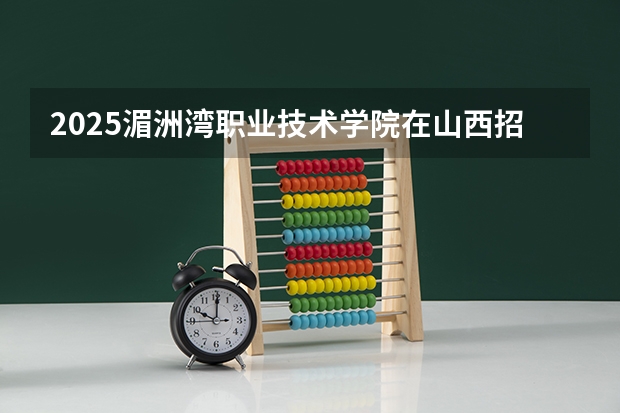 2025湄洲湾职业技术学院在山西招生计划一览表