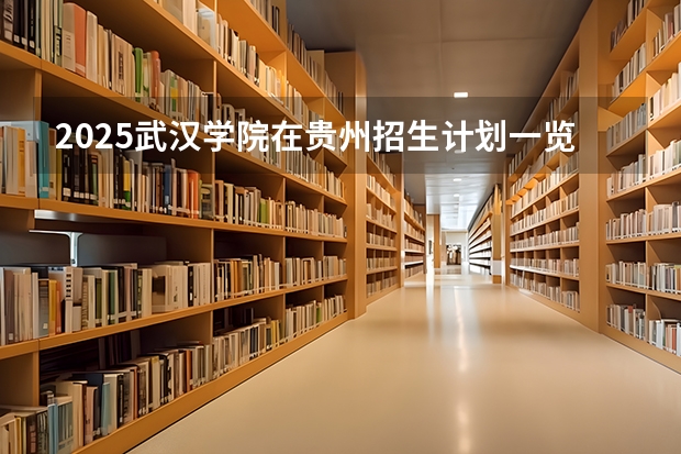 2025武汉学院在贵州招生计划一览表