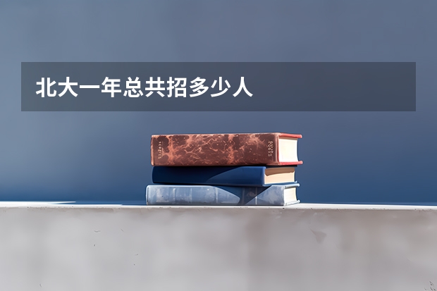 北大一年总共招多少人