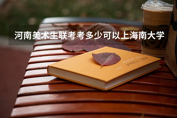 河南美术生联考考多少可以上海南大学
