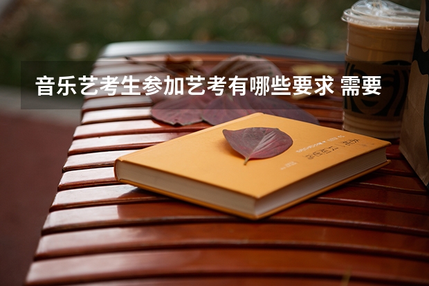 音乐艺考生参加艺考有哪些要求 需要注意什么