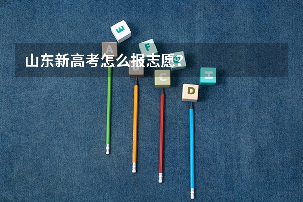 山东新高考怎么报志愿？