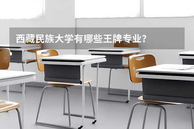 西藏民族大学有哪些王牌专业？