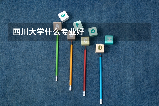 四川大学什么专业好