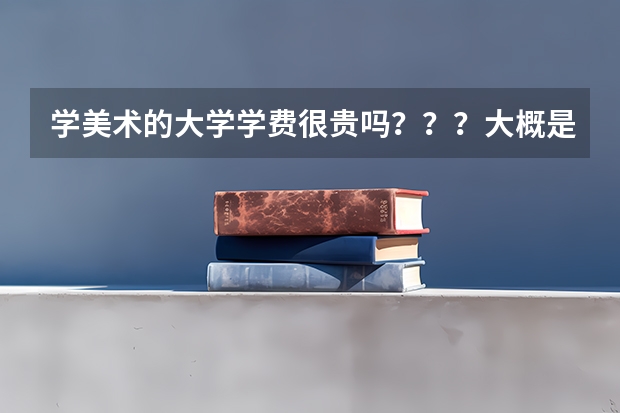 学美术的大学学费很贵吗？？？大概是多少包括住宿费和生活费