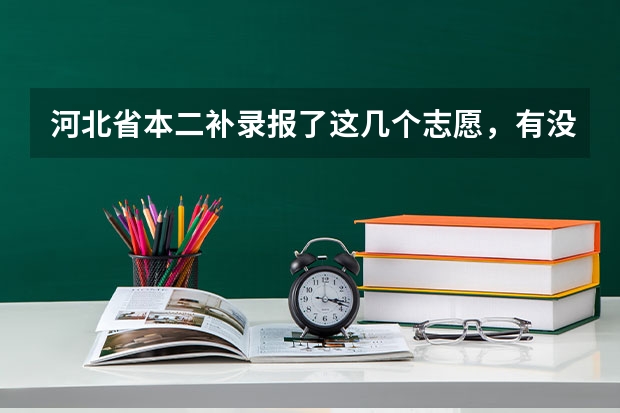 河北省本二补录报了这几个志愿，有没有可能录取呢？