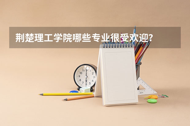 荆楚理工学院哪些专业很受欢迎？