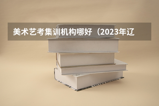 美术艺考集训机构哪好（2023年辽宁高考状元是谁）