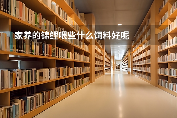家养的锦鲤喂些什么饲料好呢