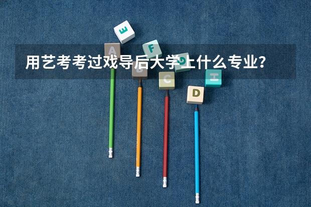 用艺考考过戏导后大学上什么专业？