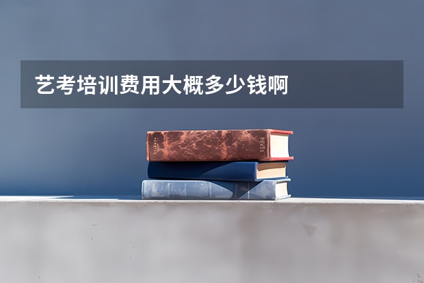 艺考培训费用大概多少钱啊