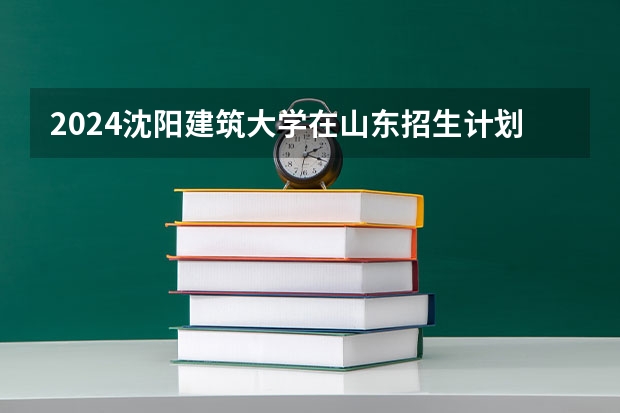 2024沈阳建筑大学在山东招生计划表
