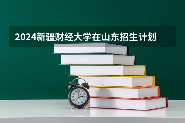 2024新疆财经大学在山东招生计划表