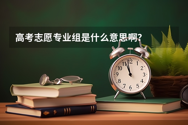 高考志愿专业组是什么意思啊？
