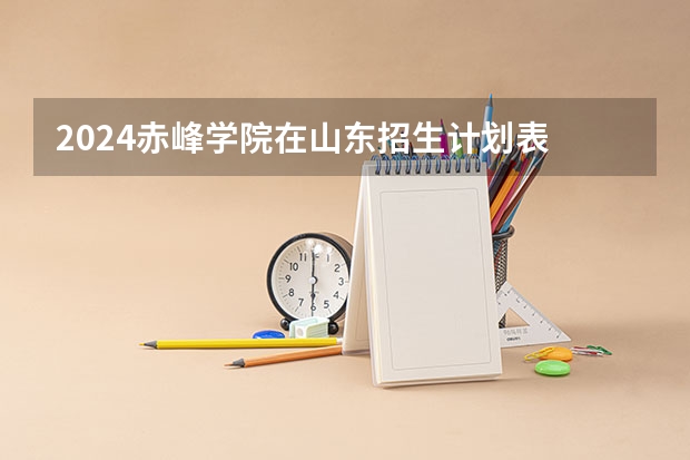 2024赤峰学院在山东招生计划表