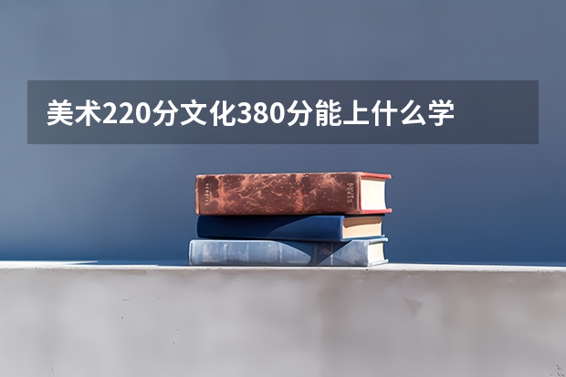 美术220分文化380分能上什么学校