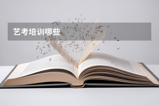 艺考培训哪些