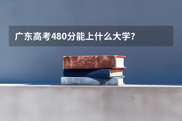 广东高考480分能上什么大学？