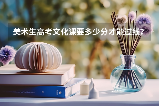 美术生高考文化课要多少分才能过线？