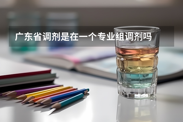广东省调剂是在一个专业组调剂吗