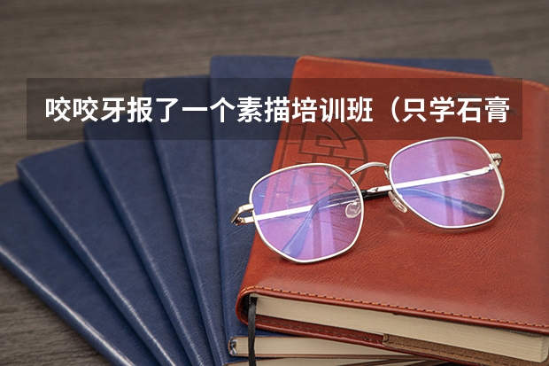 咬咬牙报了一个素描培训班（只学石膏几何），学完后能在家自学吗？内容较长，分高，有耐心的朋友帮帮我呀