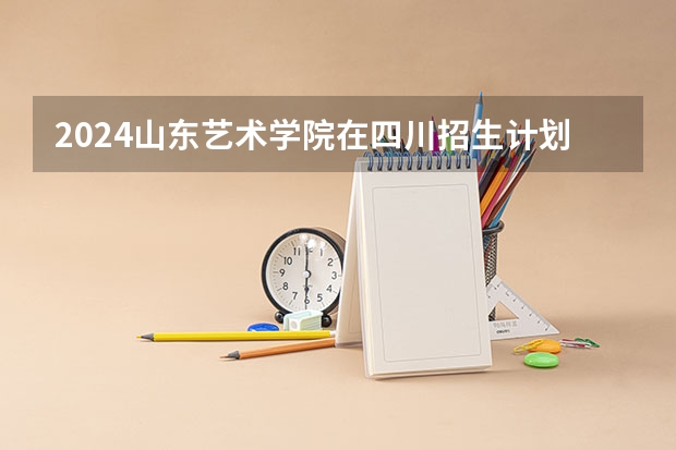 2024山东艺术学院在四川招生计划表