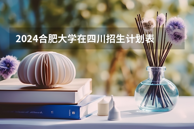 2024合肥大学在四川招生计划表