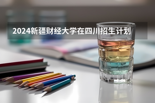 2024新疆财经大学在四川招生计划表