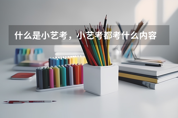 什么是小艺考，小艺考都考什么内容