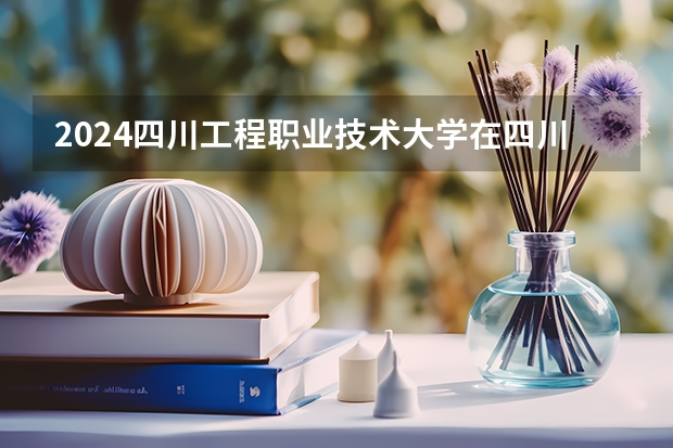 2024四川工程职业技术大学在四川招生计划表