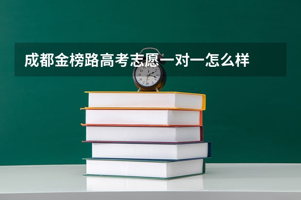成都金榜路高考志愿一对一怎么样