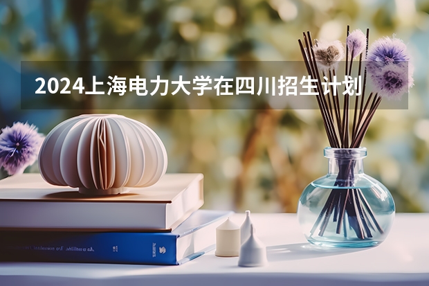 2024上海电力大学在四川招生计划表