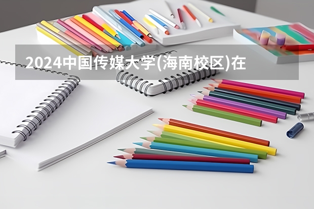 2024中国传媒大学(海南校区)在四川招生计划表