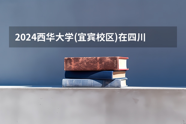 2024西华大学(宜宾校区)在四川招生计划表