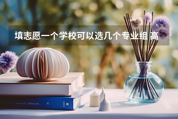 填志愿一个学校可以选几个专业组 高考志愿可以填报几个专业