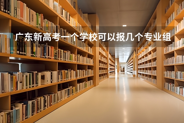 广东新高考一个学校可以报几个专业组（广东省新高考志愿填报规则）