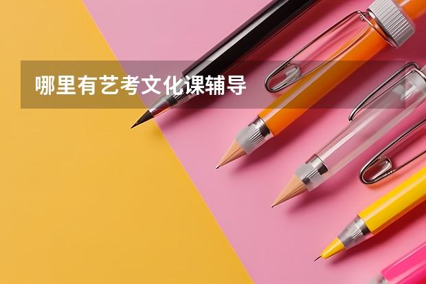 哪里有艺考文化课辅导
