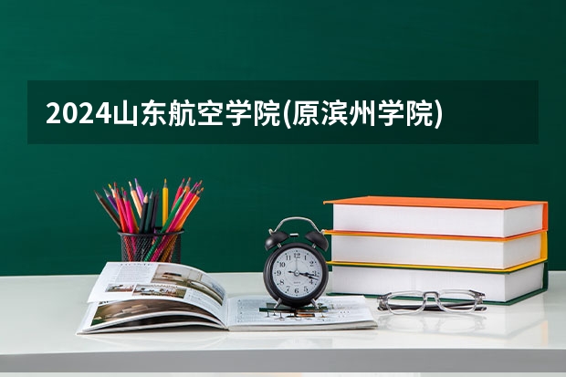 2024山东航空学院(原滨州学院)在贵州招生计划表