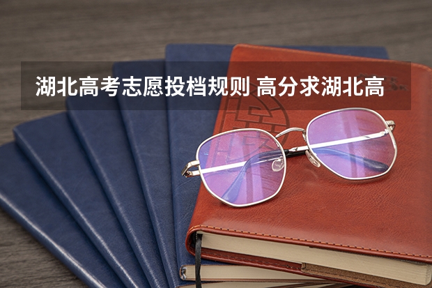湖北高考志愿投档规则 高分求湖北高考志愿填报的问题！！ 在线等 急